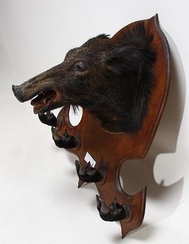 JAKTTROFÉ, vildsvinshuvud och klövar monterade som klädhängare.