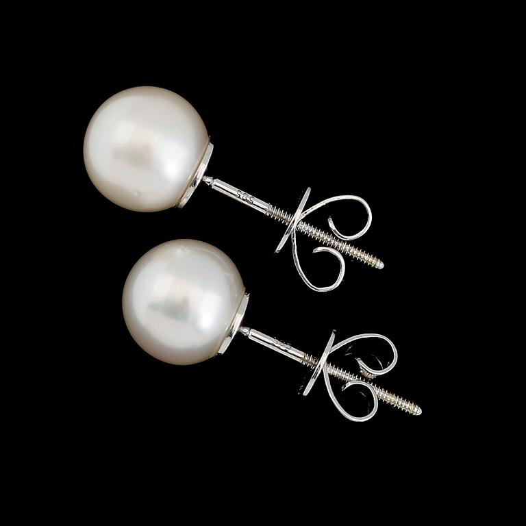 ÖRHÄNGEN, 1 par, 14K vitguld, odlade sötvattenpärlor.