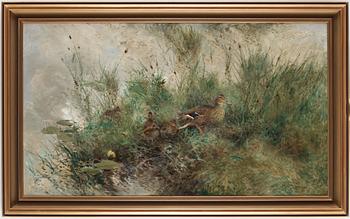Mosse Stoopendaal, Mallards by water.