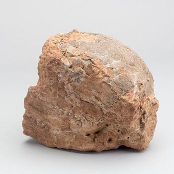 DINOSAURIEÄGG, fossil, enligt intyg omkring 65 milj år gamla.