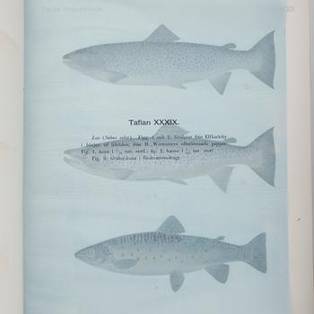 F.A.SMITT, 2 vol, Skandinaviens fiskar målade af W. von Wright, Taflor, Stockholm 1892-95.