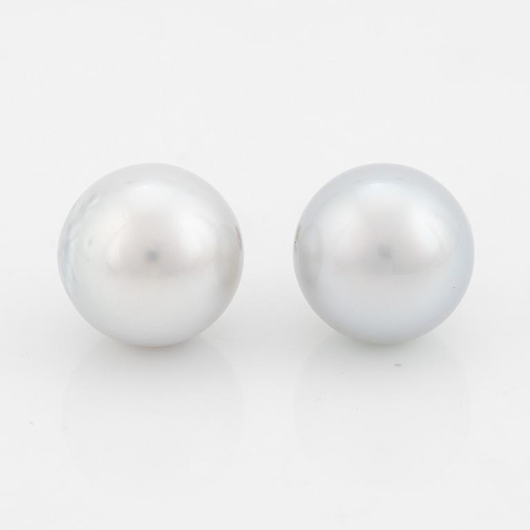 Cultured South sea pearl earrings.