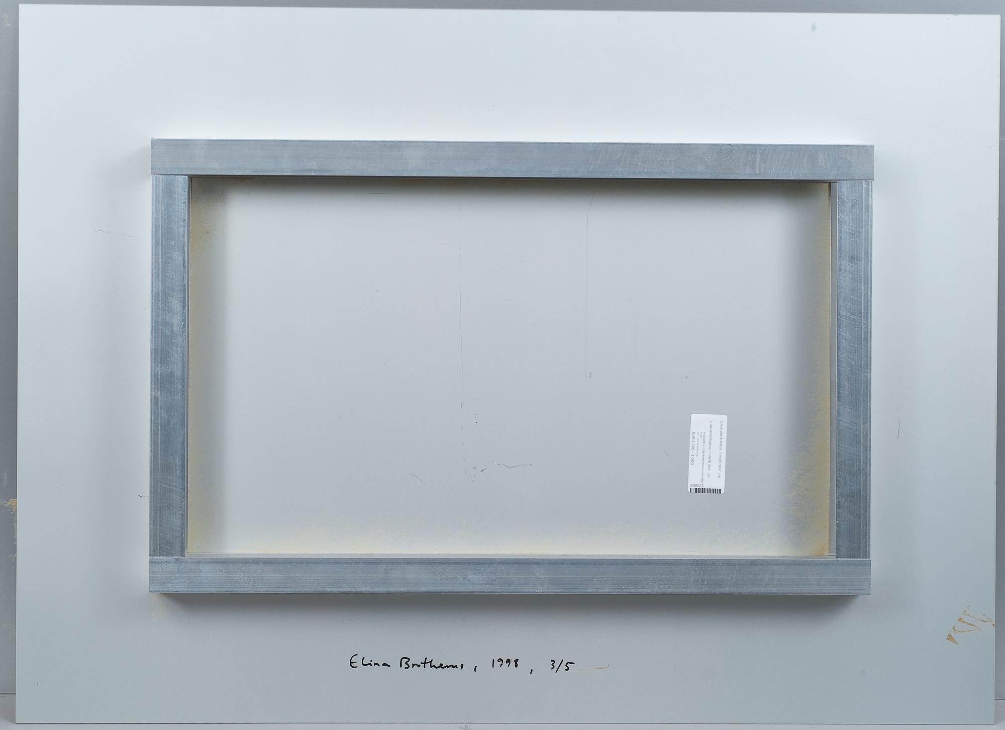 Elina Brotherus, "I HATE SEX".