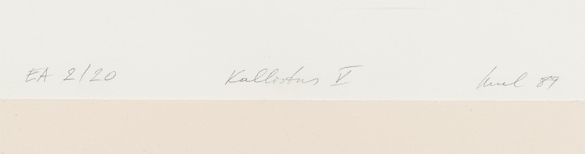 Raul Meel, Kallistus V.
