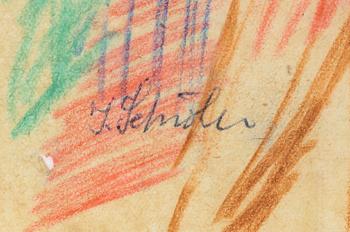 Inge Schiöler, Man i brunt.