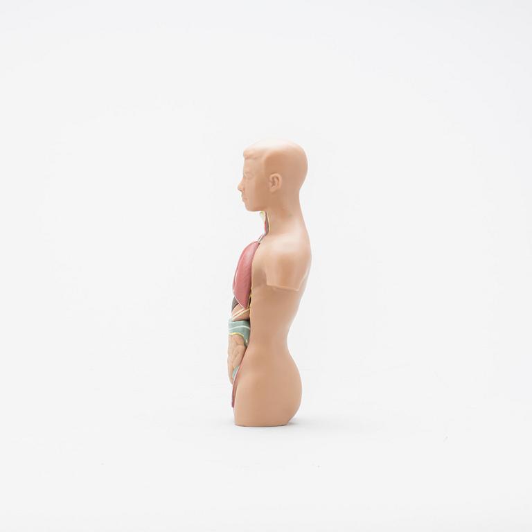 ANATOMISK MODELL, 1900-talets slut.