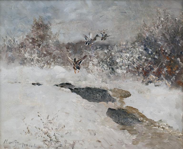 Mosse Stoopendaal, FLYING MALLARDS.