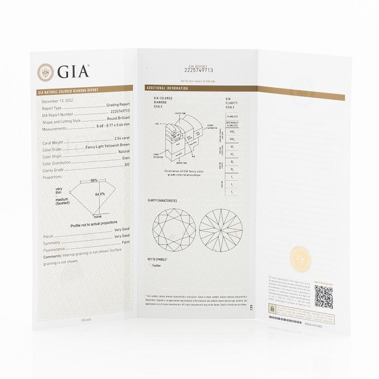 Ring in 18K white gold set with a round brilliant-cut diamond weighing 2.54 ct, accompanied by a GIA report.