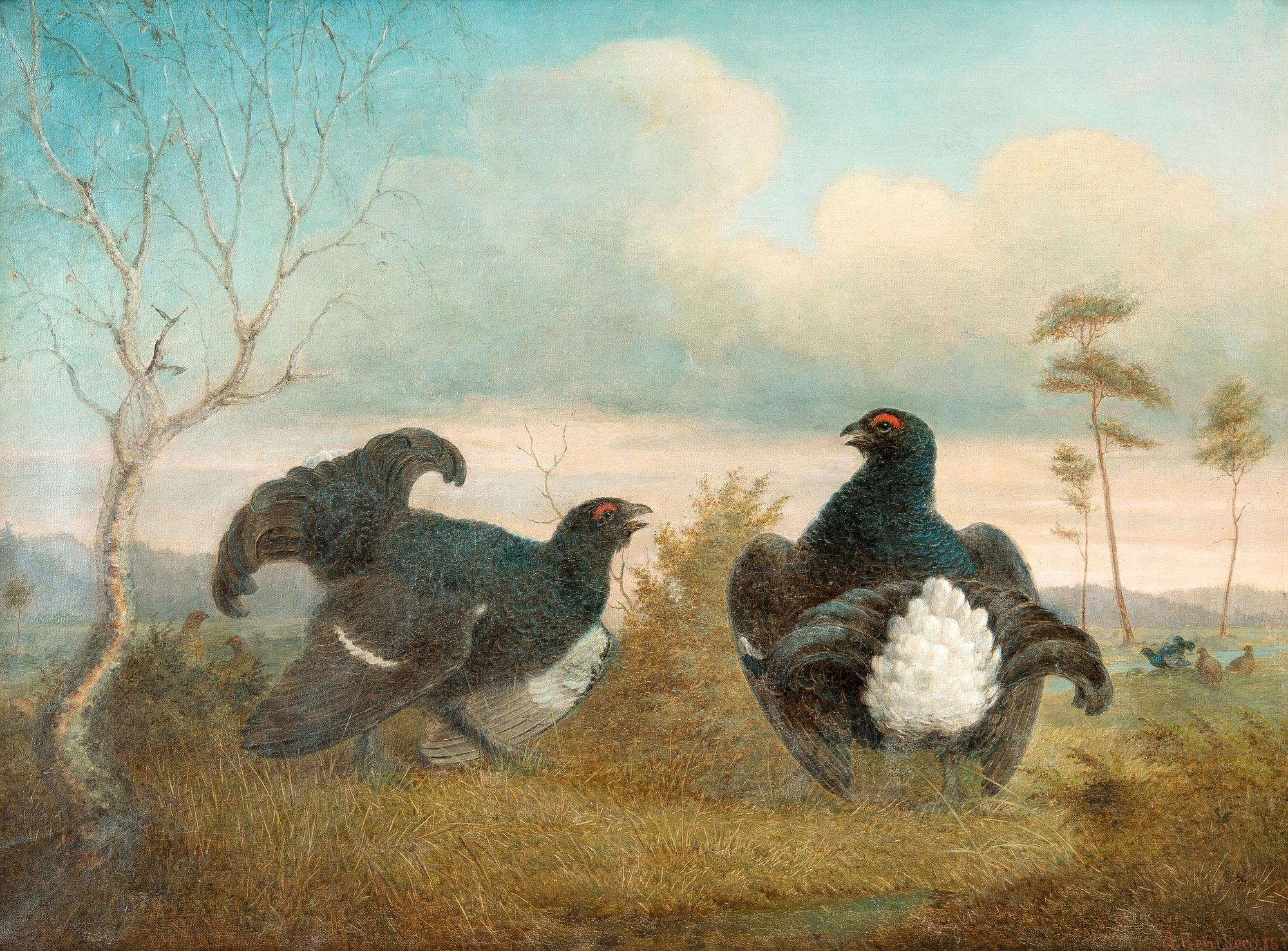 Johan Jakob Reinberg, MATING.
