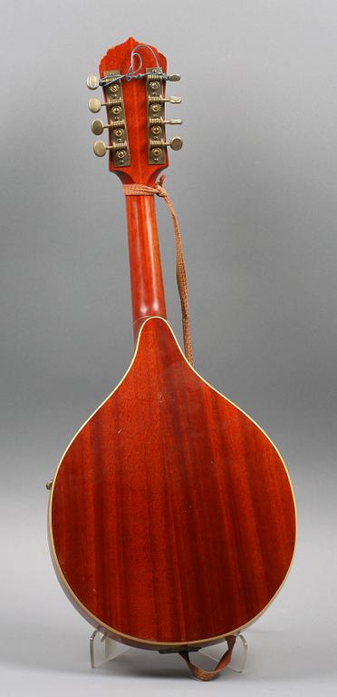 MANDOLIN, Levin, 1960-tal.