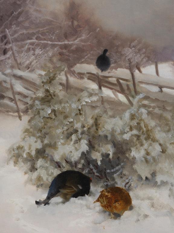 Bruno Liljefors, Grouses.
