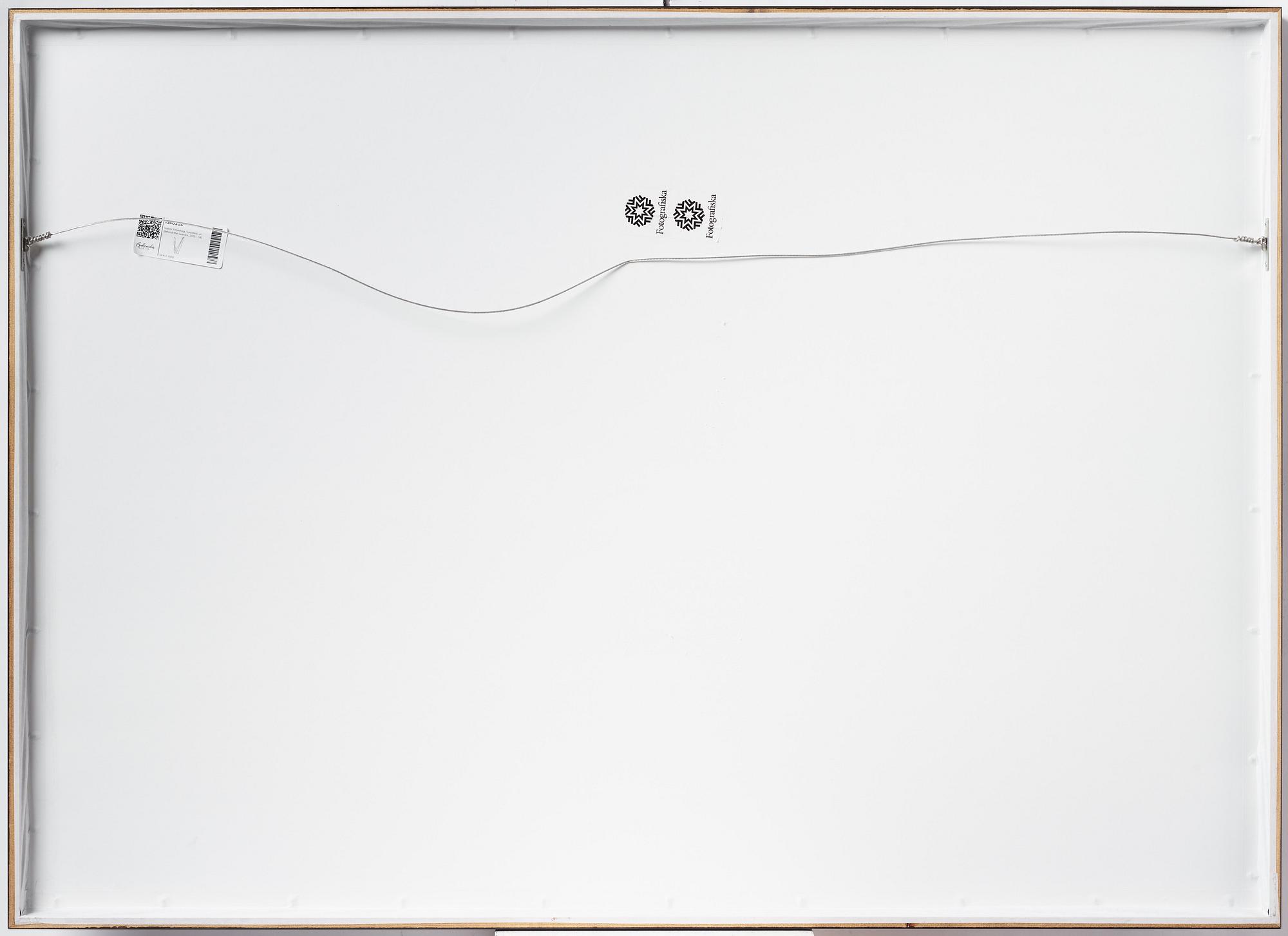 Viktor Fremling, Ur serien "Behind the scenes", 2015.