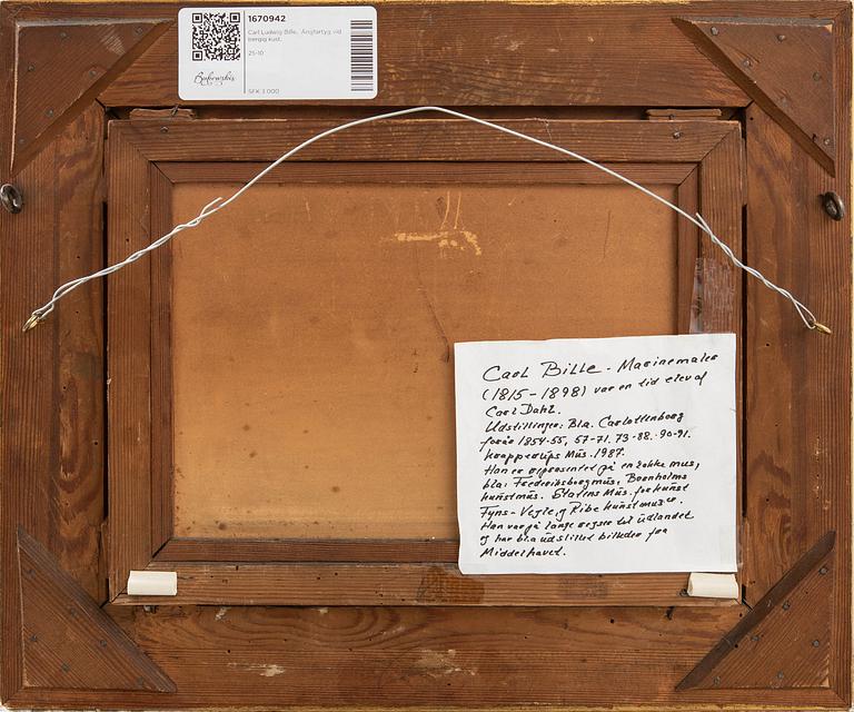 Carl Ludwig Bille,  Ångfartyg vid bergig kust.