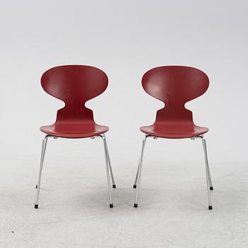Arne Jacobsen, two 'The Ant' chairs, Frits Hansen, Denmark, 2003.