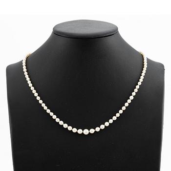 A cultured pearl necklace with a silver clasp.