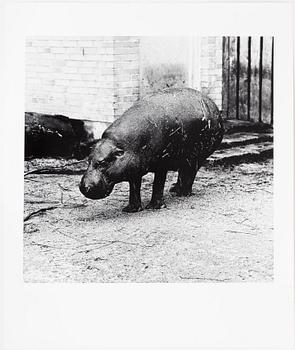 Per Maning, gelatin silver print, signed and dated -93 verso.