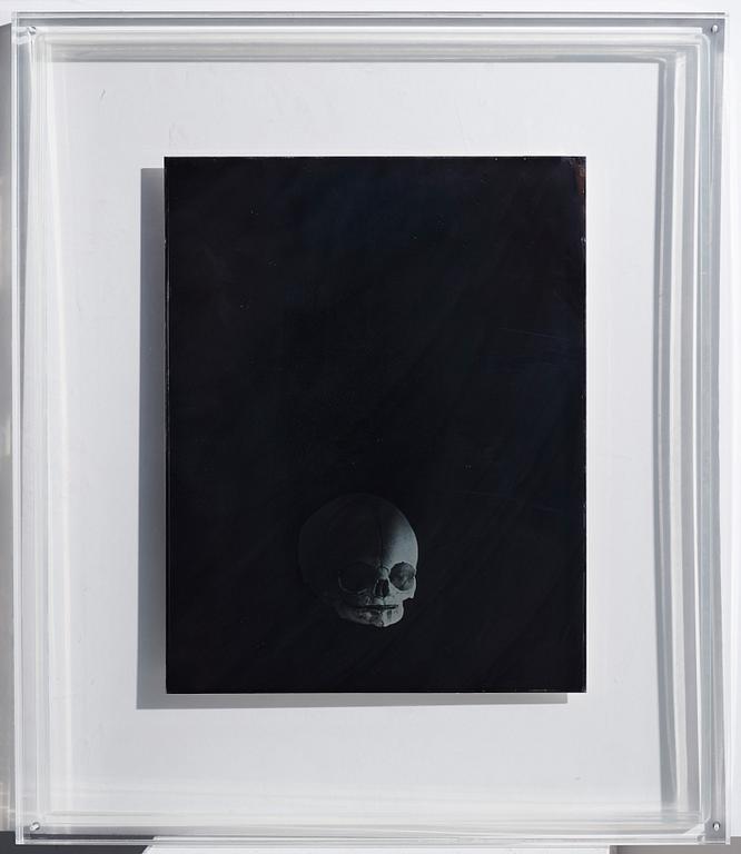 Adam Fuss, "Untitled", 2002.