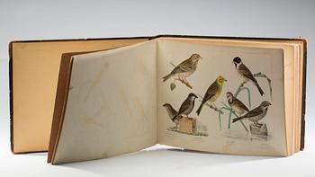 CARL JACOB SUNDEVALL, "Svenska Foglar", Stockholm. 1856-71.