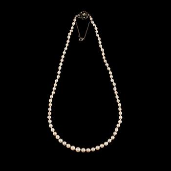COLLIER, odlade pärlor, lås i silver med pastestenar.