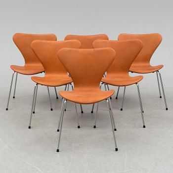 A SET OF 6 ARNE JACOBSEN "SERIES 7" CHAIRS, Fritz Hansen.