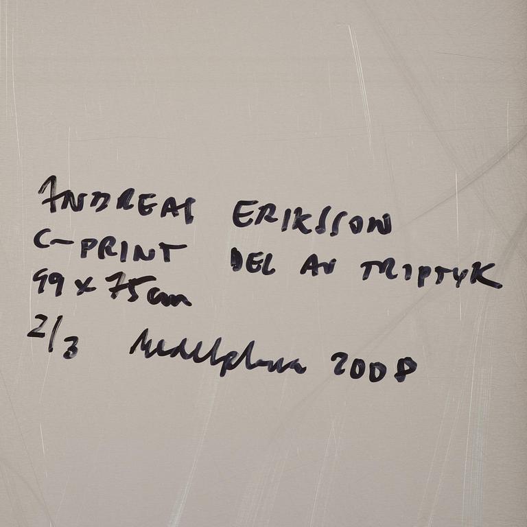 Andreas Eriksson, Untitled.