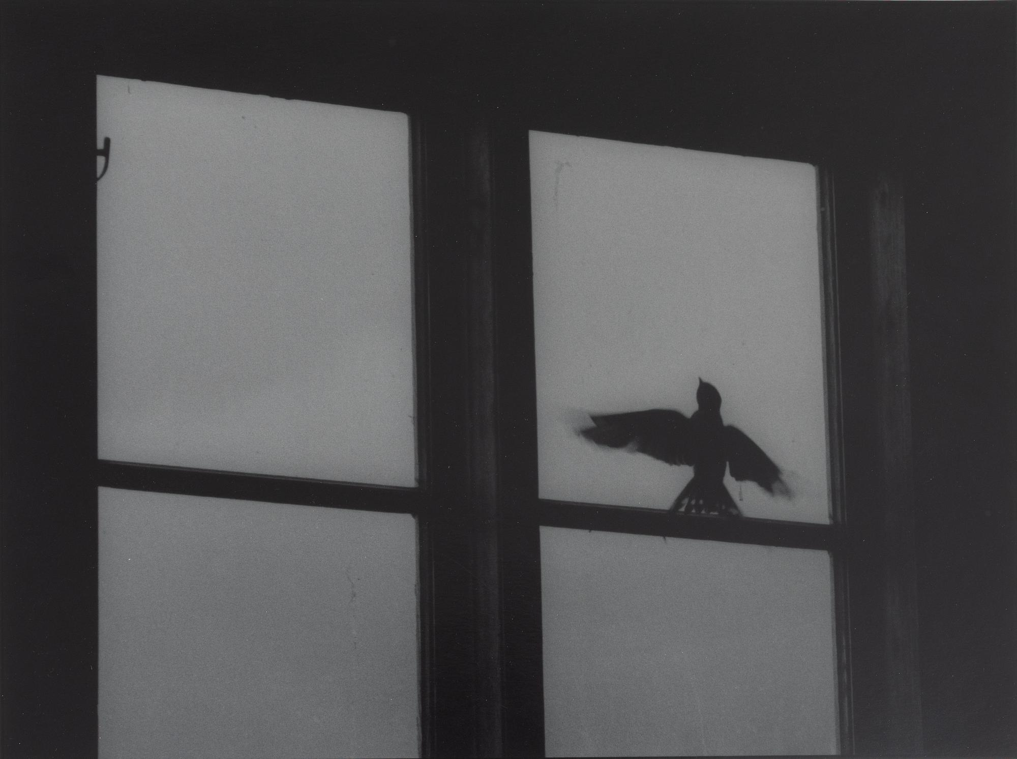 Kenneth Gustavsson, "Utan titel (fågel i boa)", 1985.