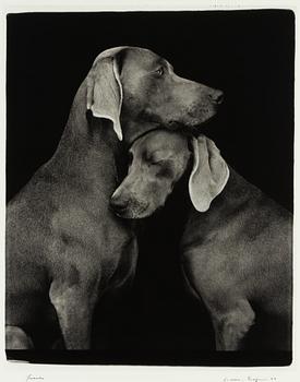 William Wegman, "Friends".