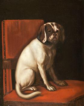 251. Oskar I, Hund på rödklädd stol.