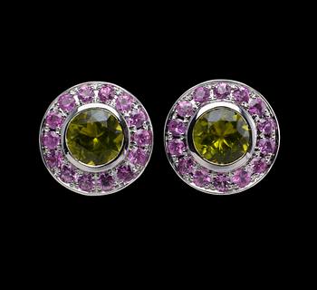 500. A PAIR OF EARRINGS, Pakistan peridotes 5.00 ct. 28 pink sappires 1.70 ct. 18K gold. Weight 7 g. Diameter 16 mm.