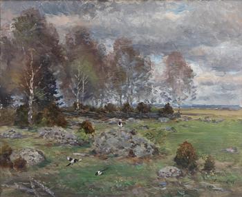 Lindorm Liljefors, Skator.