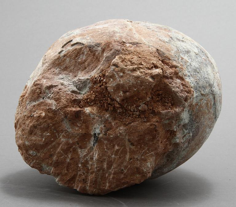 DINOSAURIEÄGG, fossil.