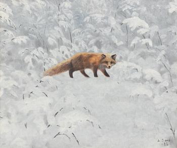 Lennart Sand, "Vinterräv".