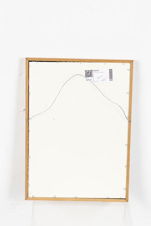 Sten Eklund, "Översiktsbild av den ditintills rådande vegetationstypen". Ur "Kullahusets hemlighet". Boken medföljer.