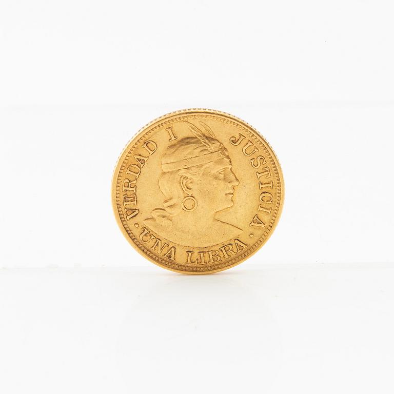 Gold coin 1 libra 1903 Peru.