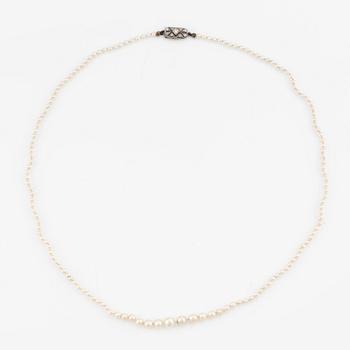 Necklace, with graduated pearls and an 18K white gold clasp with diamonds.