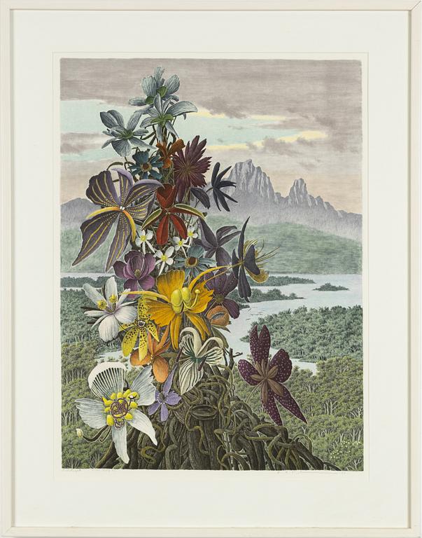 Karl Axel Pehrson, Exotic landscape.