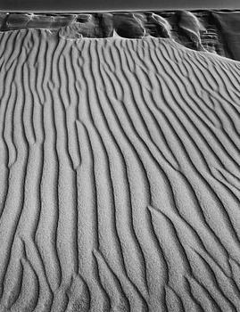 212. Ansel Adams, "Sand Dunes, Oceano, California", ca 1950.
