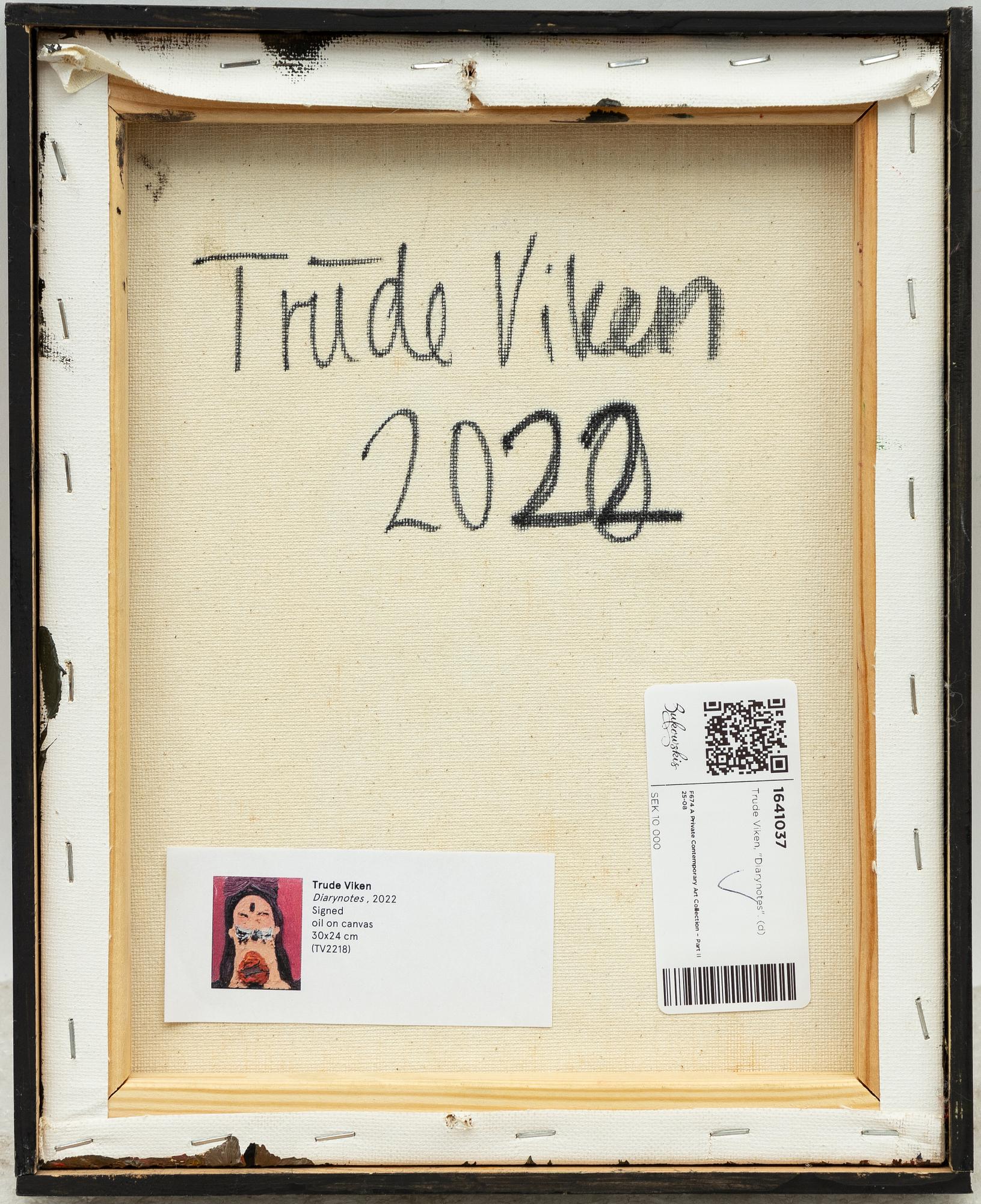 Trude Viken, "Diarynotes".