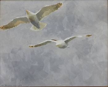 Bruno Liljefors, Flying seagulls (Larus canus).