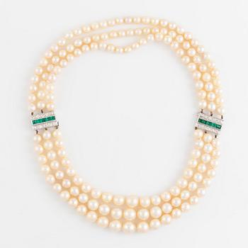 A three strand cultured pearl necklace/bracelet.