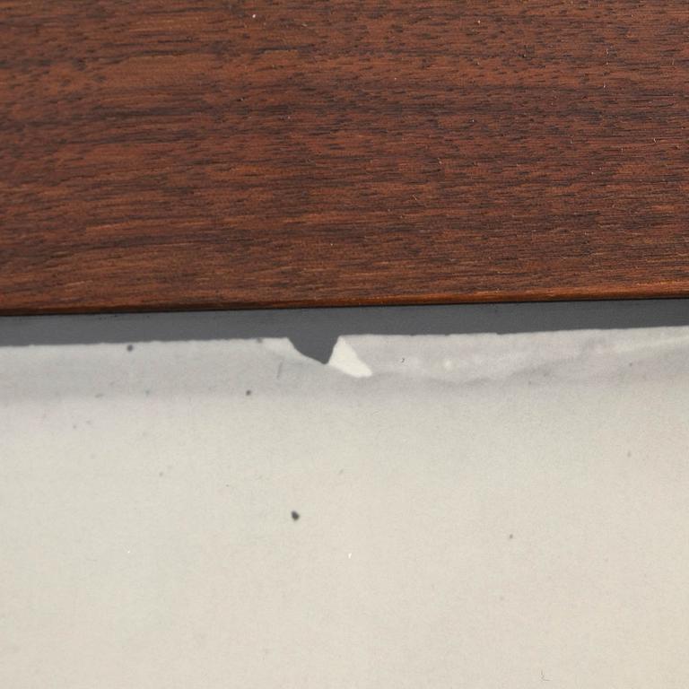 Denise Grünstein, "Out of focus camels" 1999.