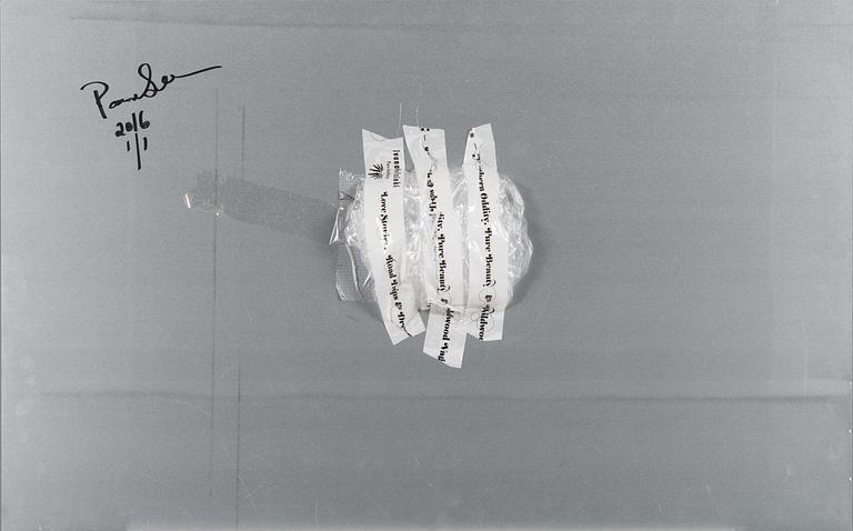 PAOLA SUHONEN, färgtryck på aluminium, a tergo signerad och daterad 2016, numrerad 1/1.