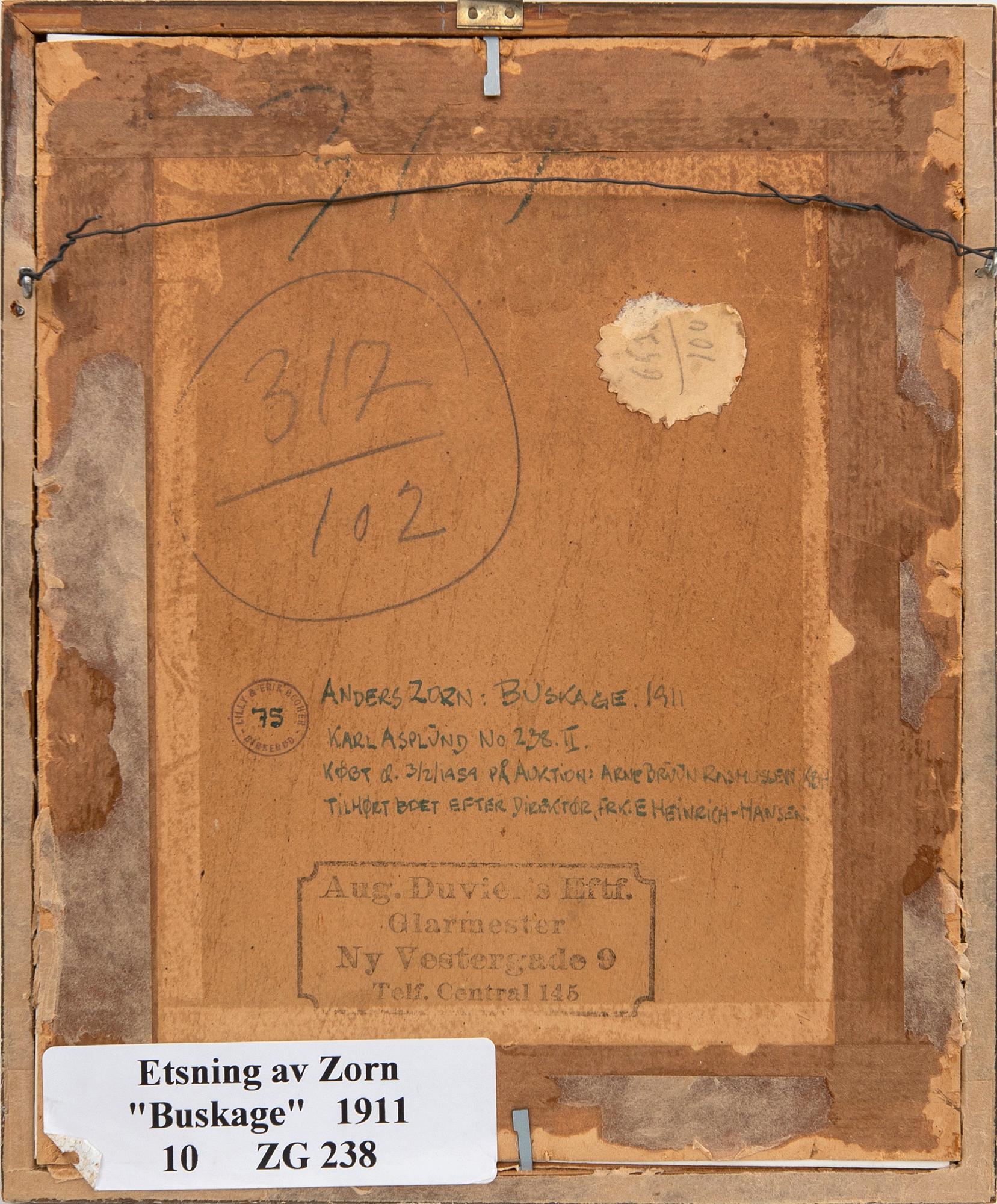 Anders Zorn, Buskage.