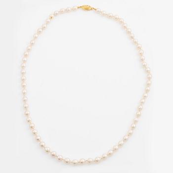 Pearl necklace, cultured pearls with a clasp in 18K gold and small diamonds.