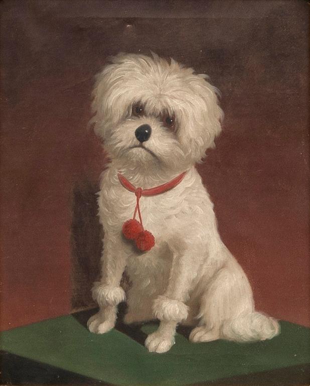 Okänd konstnär 1800/1900-tal , Hund med rött halsband.