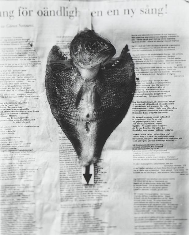 Hans Gedda, Stilleben med fisk, 1983.
