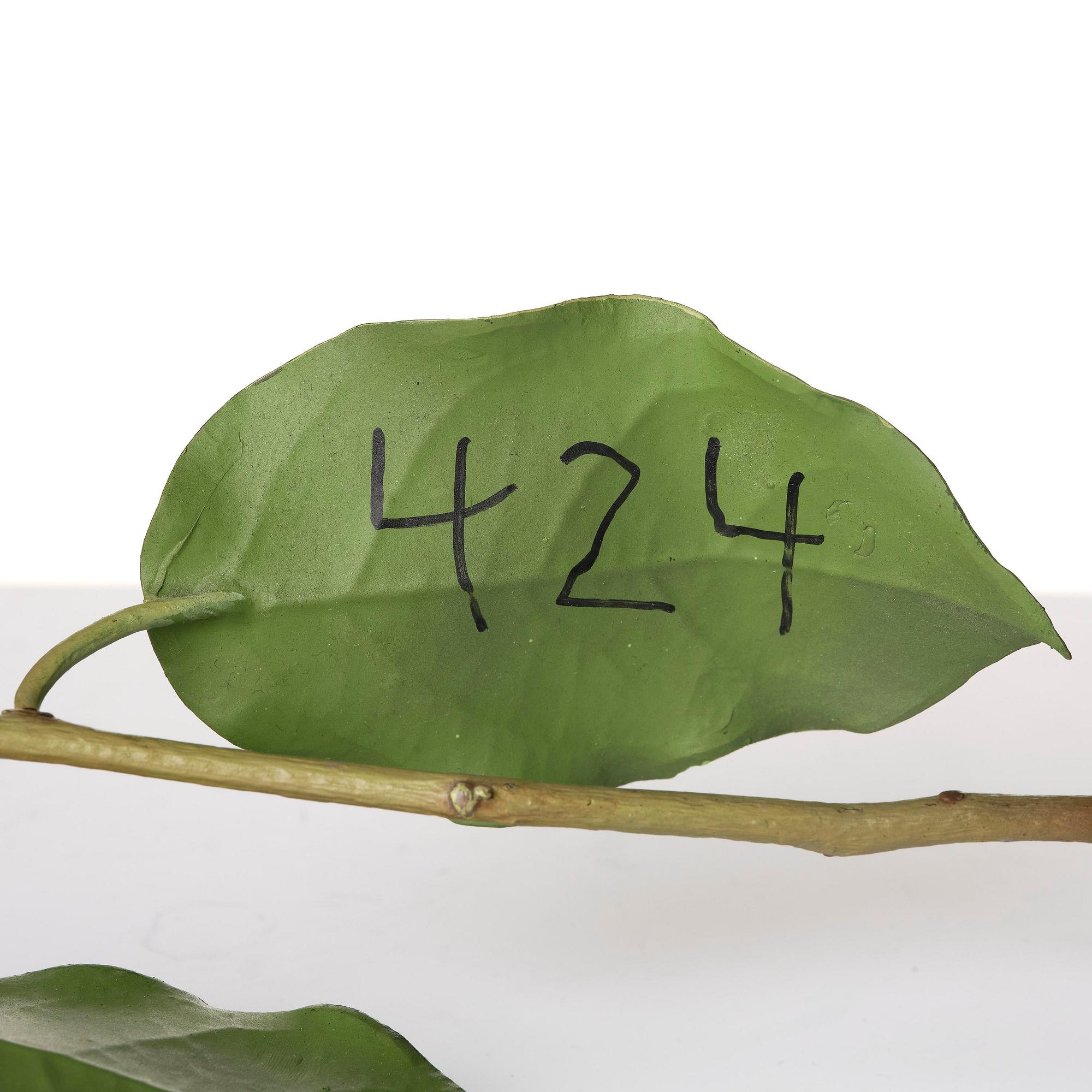 Tony Matelli, "Weed #424".