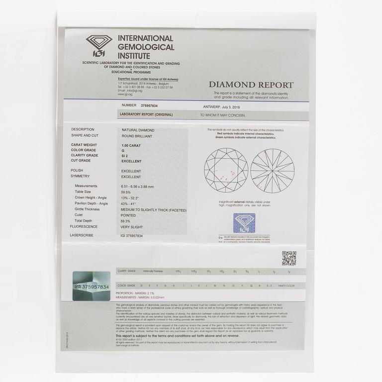 Collier 18K guld med två briljantslipade diamanter, medföljande report IGI.