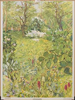 SKOLPLANSCHER, 4 st, bland annat "Svenska växtsamhällen," 1900-tal.