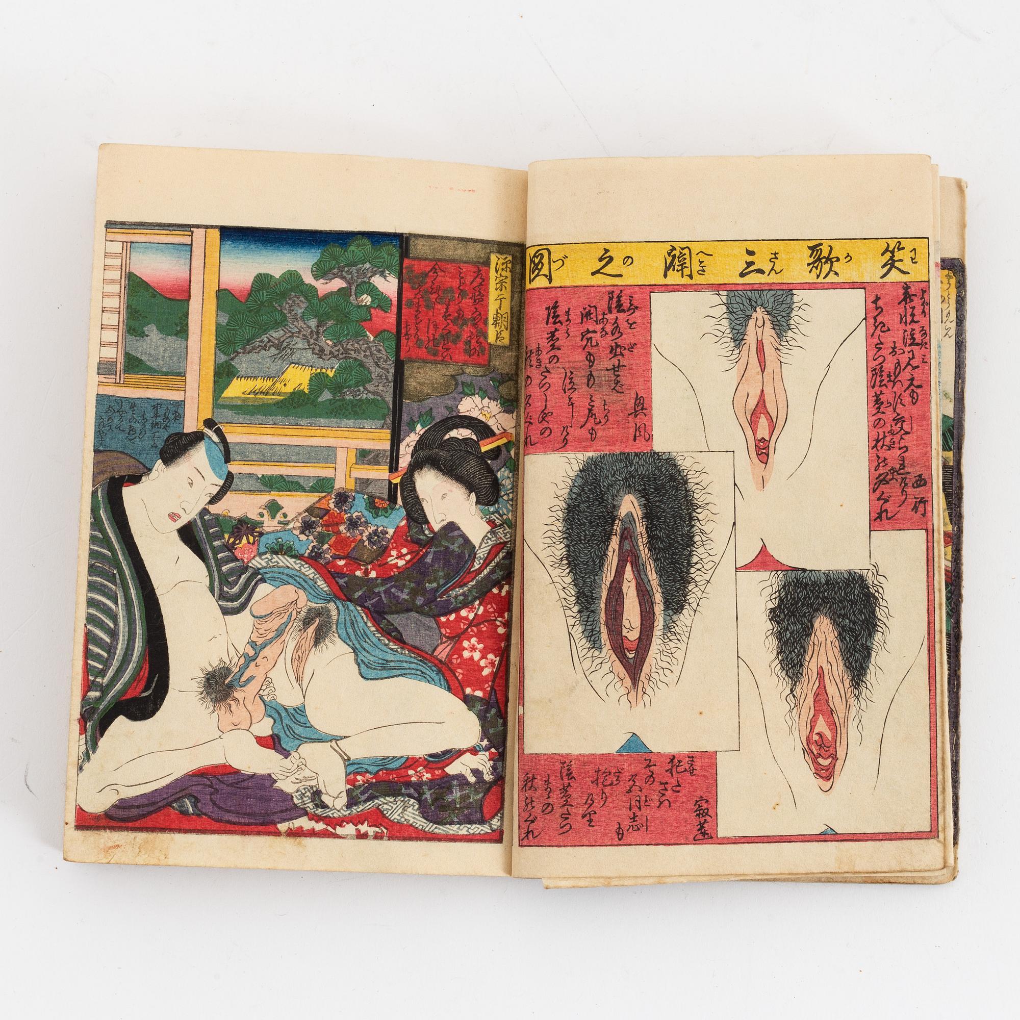 Koikawa Shozan, bok, shunga, Japan 1857.